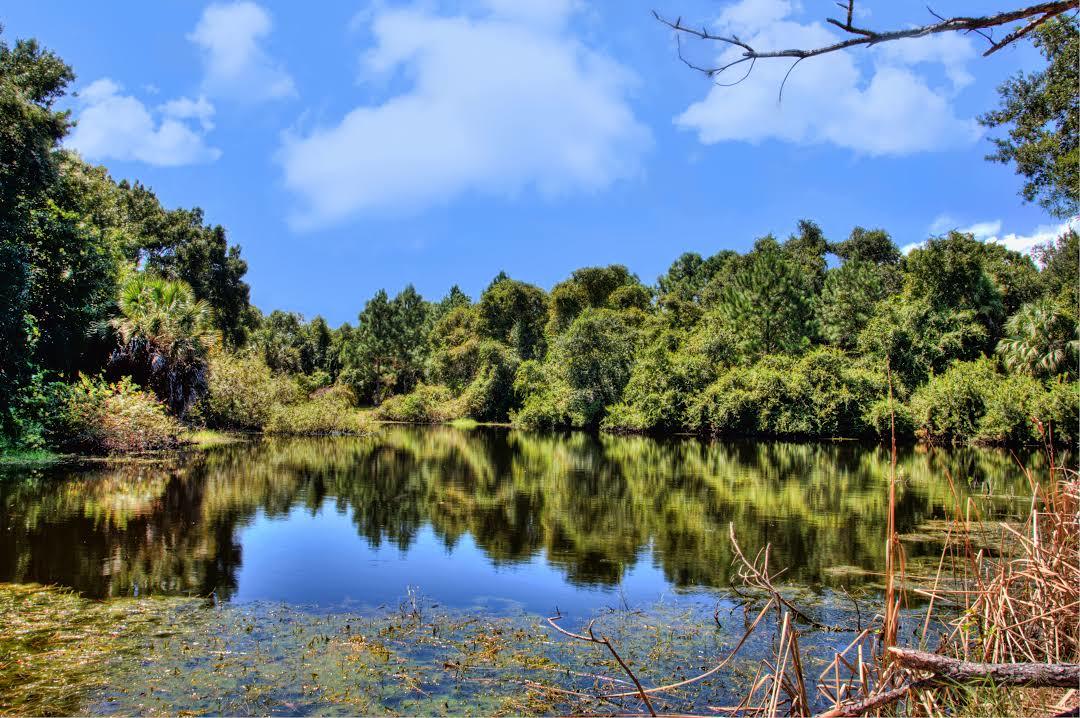 Boyd Hill Nature Preserve